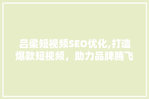 吕梁短视频SEO优化,打造爆款短视频，助力品牌腾飞