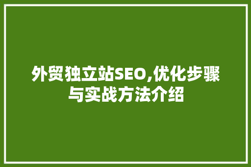 外贸独立站SEO,优化步骤与实战方法介绍