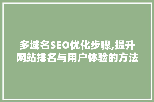 多域名SEO优化步骤,提升网站排名与用户体验的方法