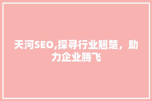 天河SEO,探寻行业翘楚，助力企业腾飞