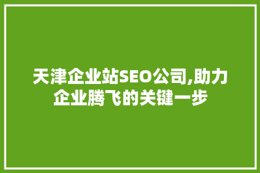 天津企业站SEO公司,助力企业腾飞的关键一步