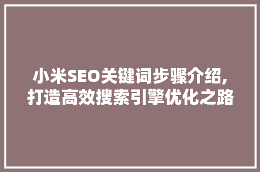 小米SEO关键词步骤介绍,打造高效搜索引擎优化之路