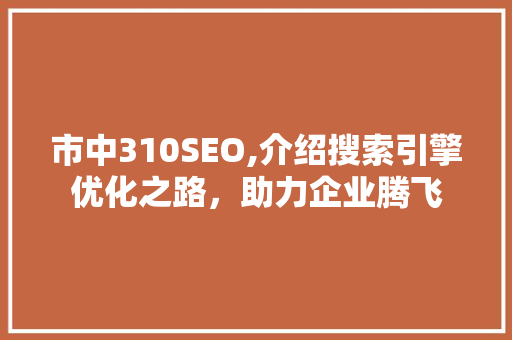 市中310SEO,介绍搜索引擎优化之路，助力企业腾飞