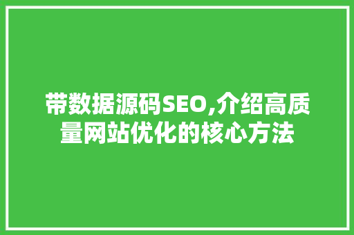 带数据源码SEO,介绍高质量网站优化的核心方法