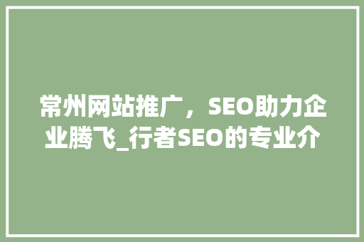 常州网站推广，SEO助力企业腾飞_行者SEO的专业介绍与方法