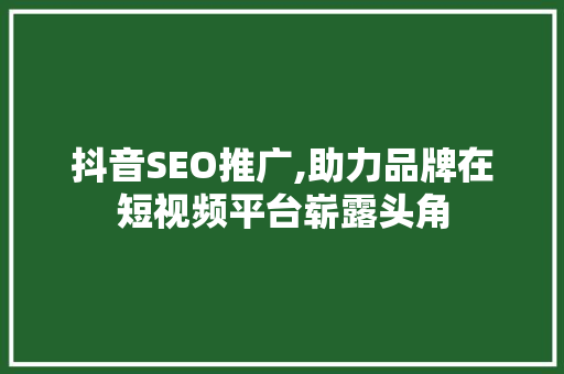 抖音SEO推广,助力品牌在短视频平台崭露头角