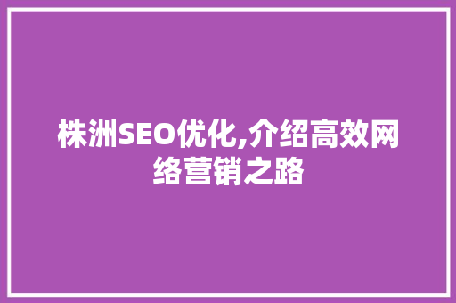 株洲SEO优化,介绍高效网络营销之路