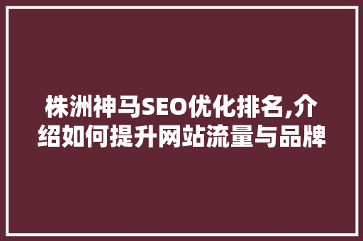 株洲神马SEO优化排名,介绍如何提升网站流量与品牌影响力
