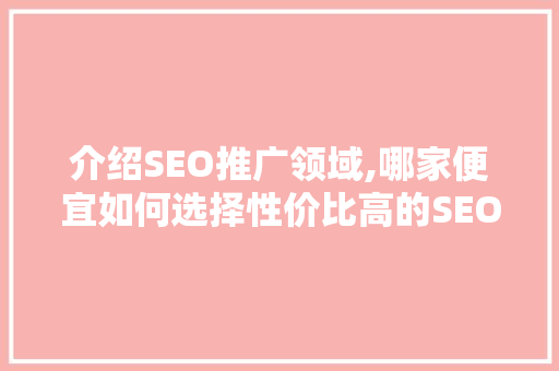 介绍SEO推广领域,哪家便宜如何选择性价比高的SEO服务