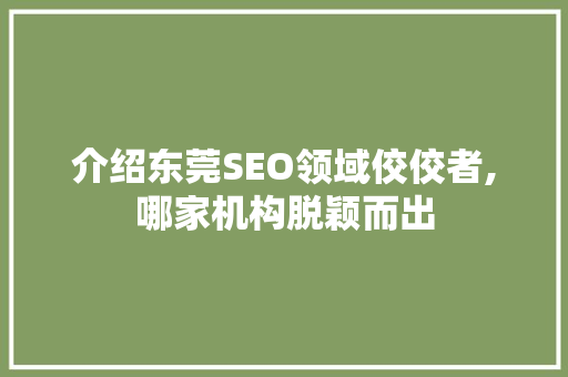 介绍东莞SEO领域佼佼者,哪家机构脱颖而出