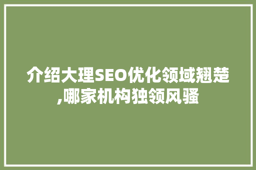 介绍大理SEO优化领域翘楚,哪家机构独领风骚