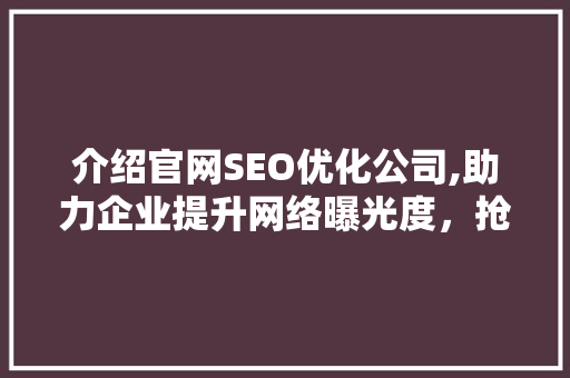 介绍官网SEO优化公司,助力企业提升网络曝光度，抢占市场先机