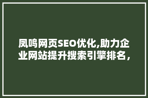 凤鸣网页SEO优化,助力企业网站提升搜索引擎排名，抢占市场先机