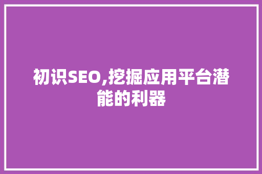 初识SEO,挖掘应用平台潜能的利器
