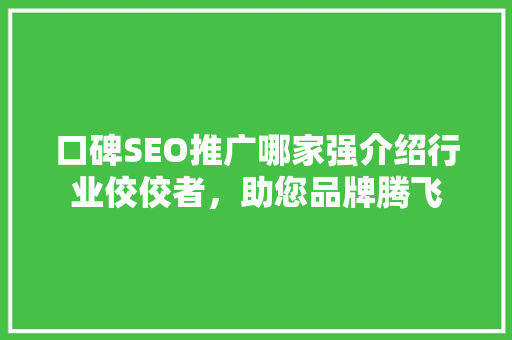 口碑SEO推广哪家强介绍行业佼佼者，助您品牌腾飞