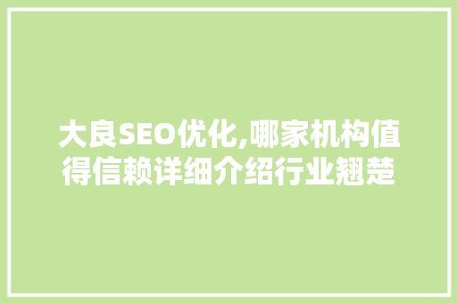 大良SEO优化,哪家机构值得信赖详细介绍行业翘楚