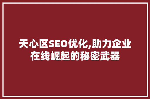 天心区SEO优化,助力企业在线崛起的秘密武器