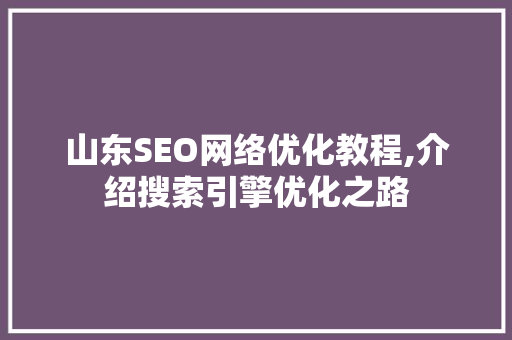 山东SEO网络优化教程,介绍搜索引擎优化之路