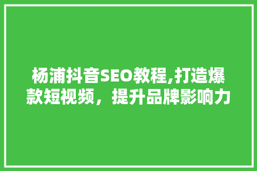 杨浦抖音SEO教程,打造爆款短视频，提升品牌影响力