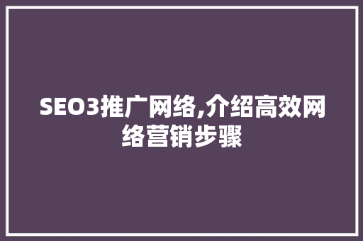SEO3推广网络,介绍高效网络营销步骤