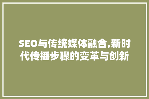 SEO与传统媒体融合,新时代传播步骤的变革与创新