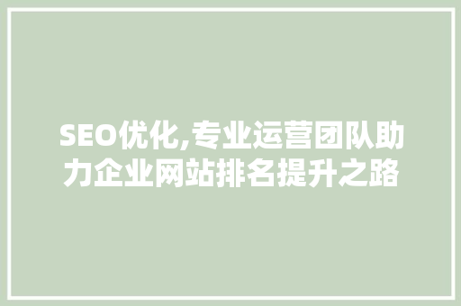 SEO优化,专业运营团队助力企业网站排名提升之路
