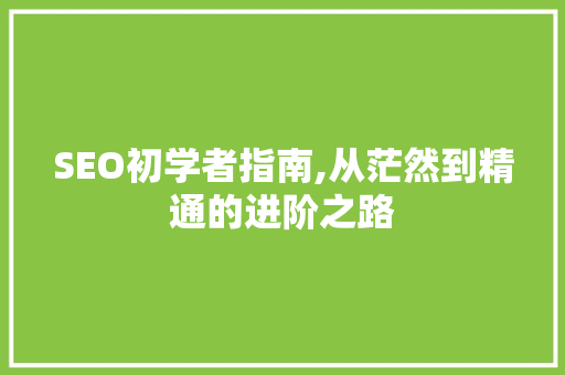 SEO初学者指南,从茫然到精通的进阶之路