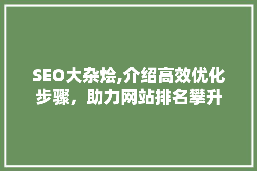 SEO大杂烩,介绍高效优化步骤，助力网站排名攀升