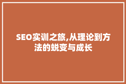SEO实训之旅,从理论到方法的蜕变与成长