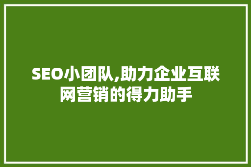 SEO小团队,助力企业互联网营销的得力助手