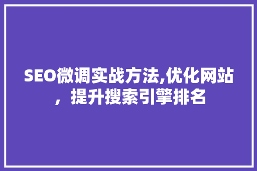 SEO微调实战方法,优化网站，提升搜索引擎排名