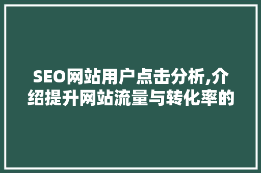 SEO网站用户点击分析,介绍提升网站流量与转化率的秘密武器