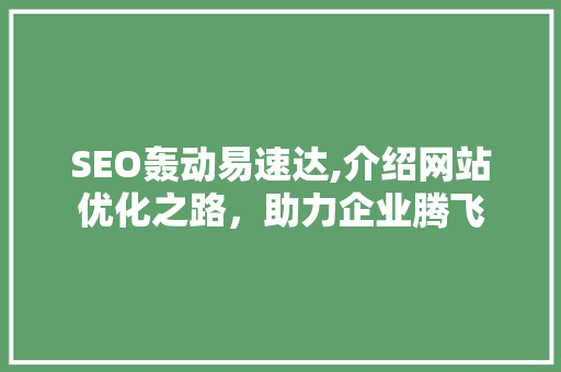 SEO轰动易速达,介绍网站优化之路，助力企业腾飞