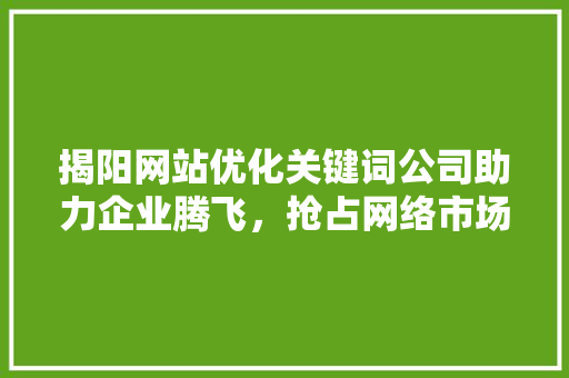 揭阳网站优化关键词公司助力企业腾飞，抢占网络市场制高点