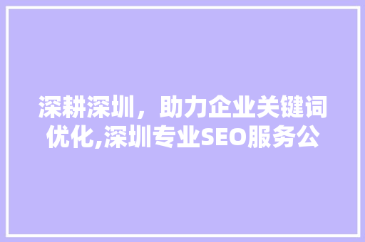 深耕深圳，助力企业关键词优化,深圳专业SEO服务公司