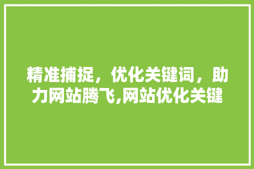 精准捕捉，优化关键词，助力网站腾飞,网站优化关键词挑选指南