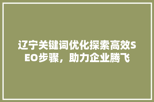辽宁关键词优化探索高效SEO步骤，助力企业腾飞