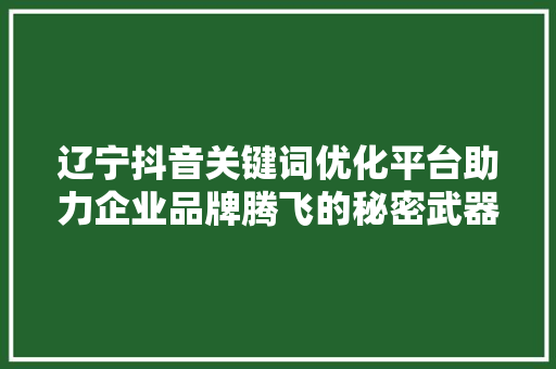 辽宁抖音关键词优化平台助力企业品牌腾飞的秘密武器