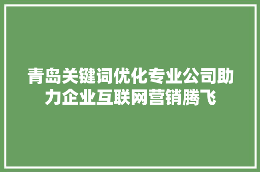 青岛关键词优化专业公司助力企业互联网营销腾飞