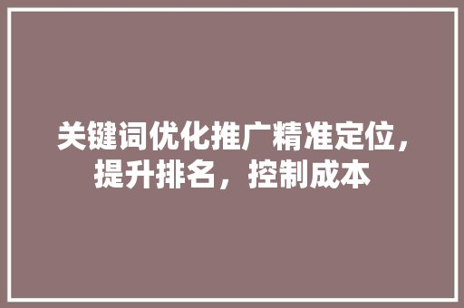 关键词优化推广精准定位，提升排名，控制成本