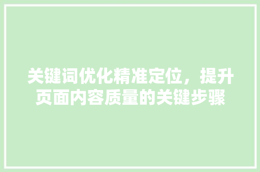 关键词优化精准定位，提升页面内容质量的关键步骤