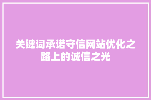 关键词承诺守信网站优化之路上的诚信之光