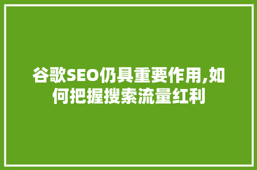 谷歌SEO仍具重要作用,如何把握搜索流量红利
