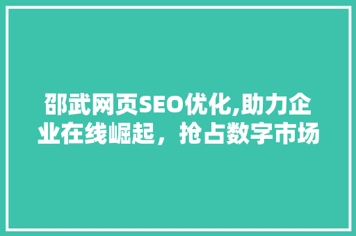 邵武网页SEO优化,助力企业在线崛起，抢占数字市场先机