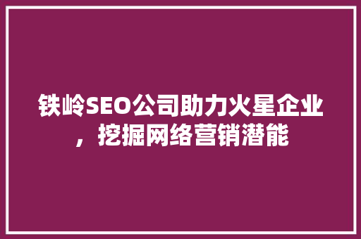 铁岭SEO公司助力火星企业，挖掘网络营销潜能