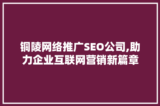 铜陵网络推广SEO公司,助力企业互联网营销新篇章