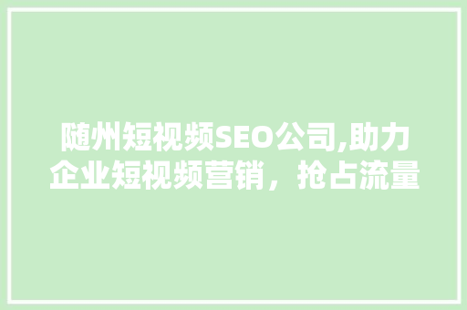 随州短视频SEO公司,助力企业短视频营销，抢占流量高地