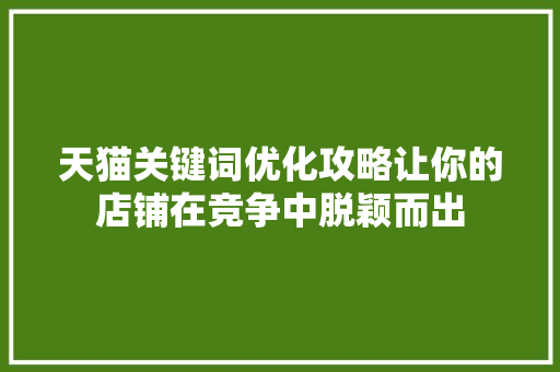 天猫关键词优化攻略让你的店铺在竞争中脱颖而出
