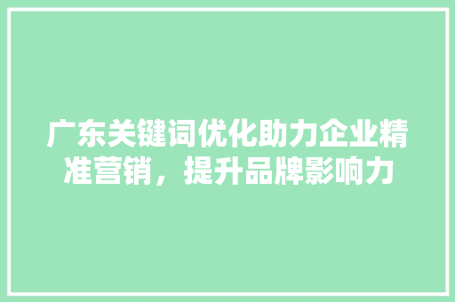 广东关键词优化助力企业精准营销，提升品牌影响力