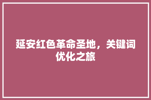 延安红色革命圣地，关键词优化之旅